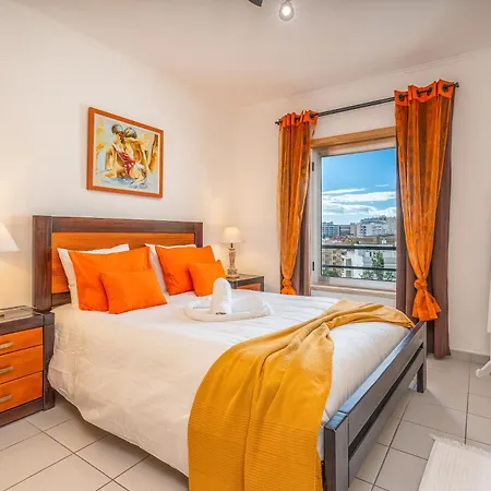 Cool Motion Rocha T1 Портиман