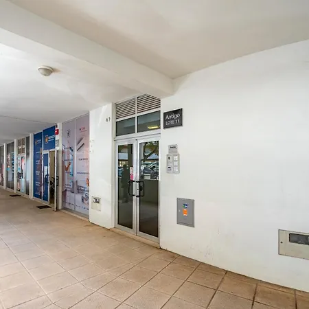 Cool Motion Rocha T1 * 포티마오